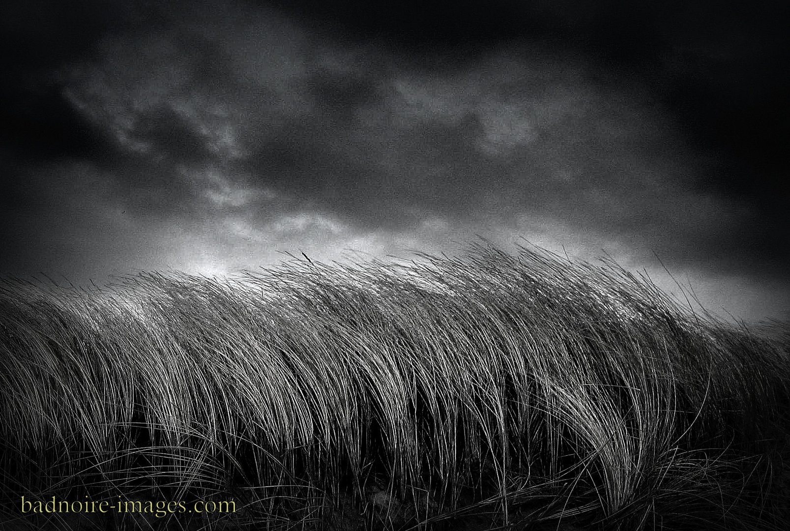 against the wind