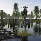 Agantus Swamp