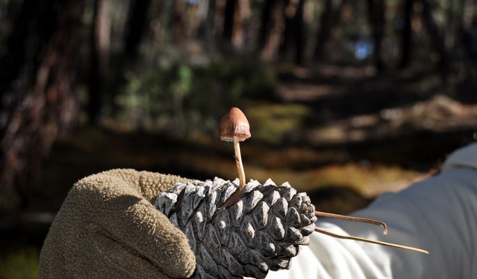 agarrandose a la vida