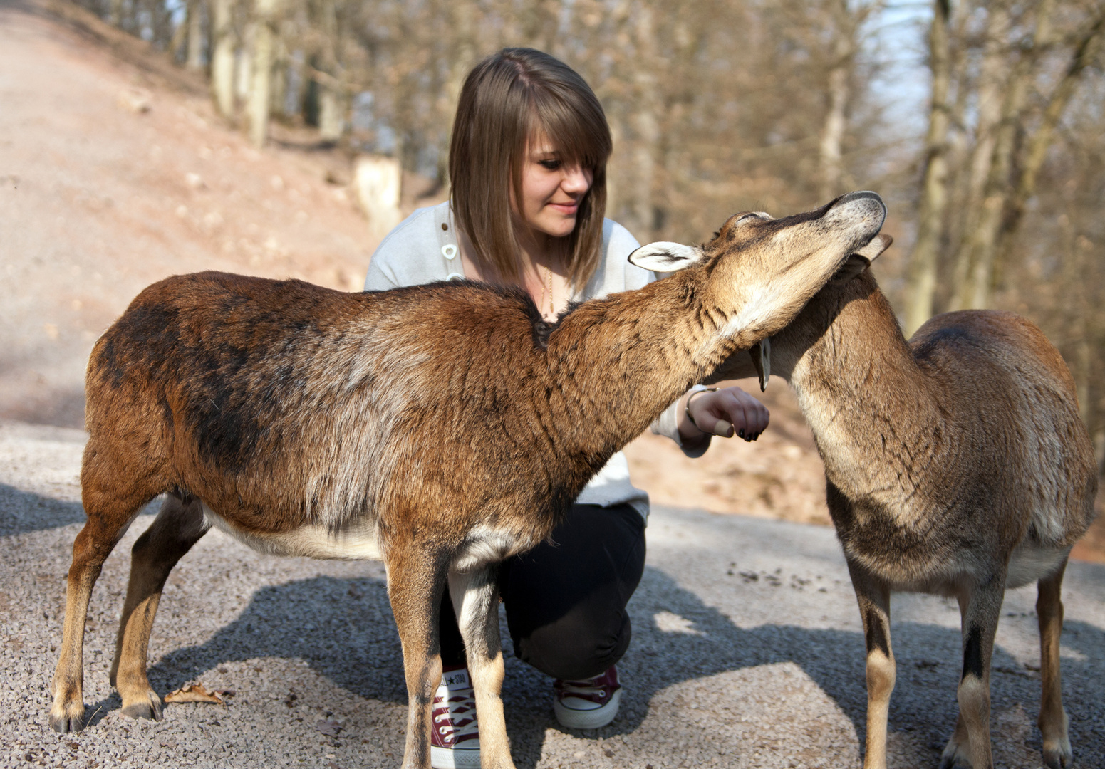 Agathe und die Ziegen (3)....