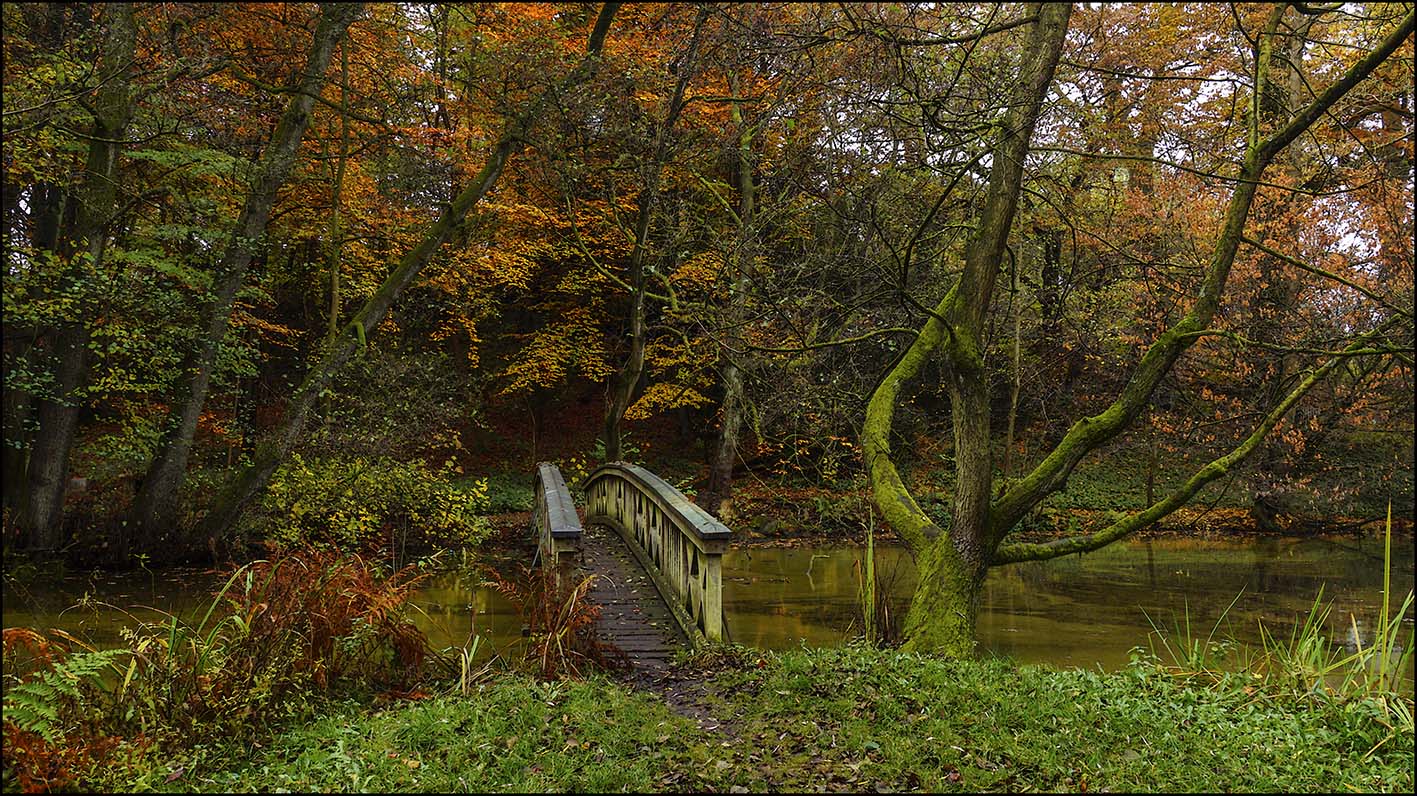 Agathenburger Herbst #1