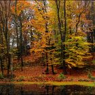 Agathenburger Herbst #2