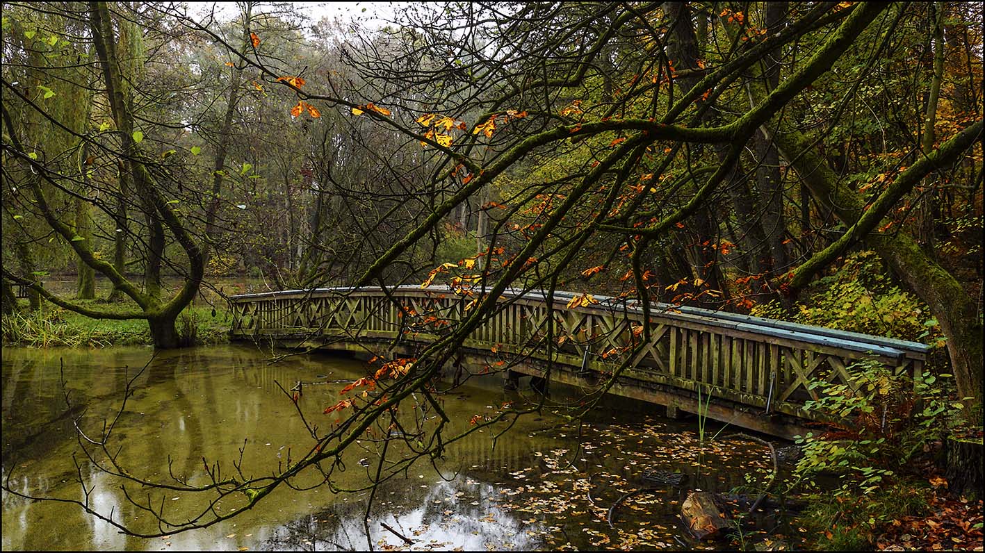 Agathenburger Herbst #6