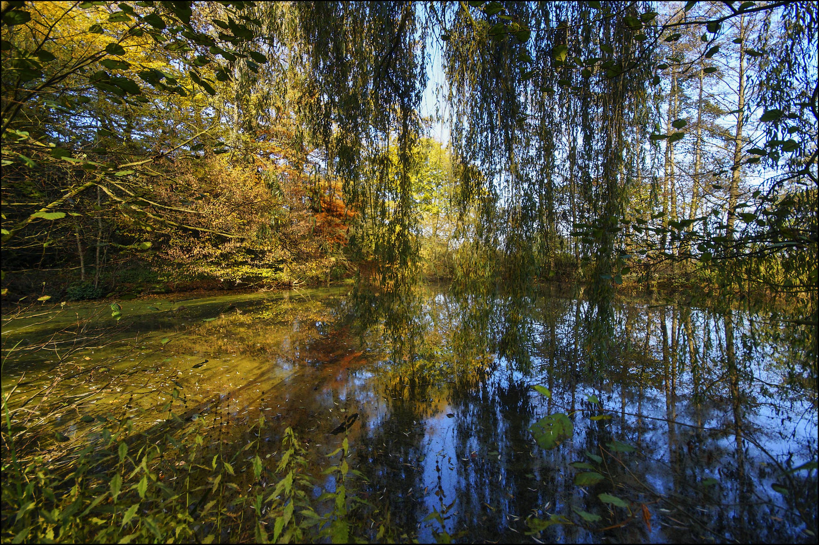 Agathenburger Herbst #6