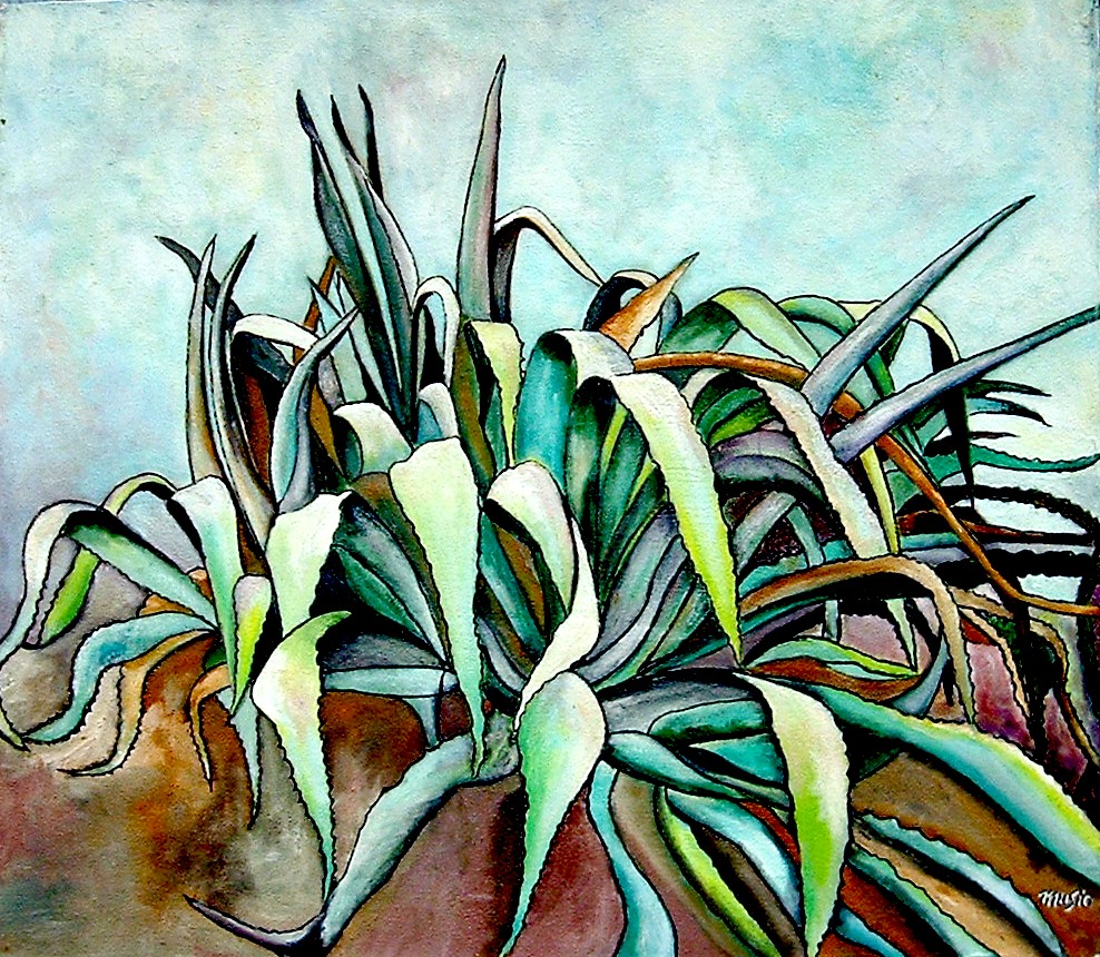 Agave