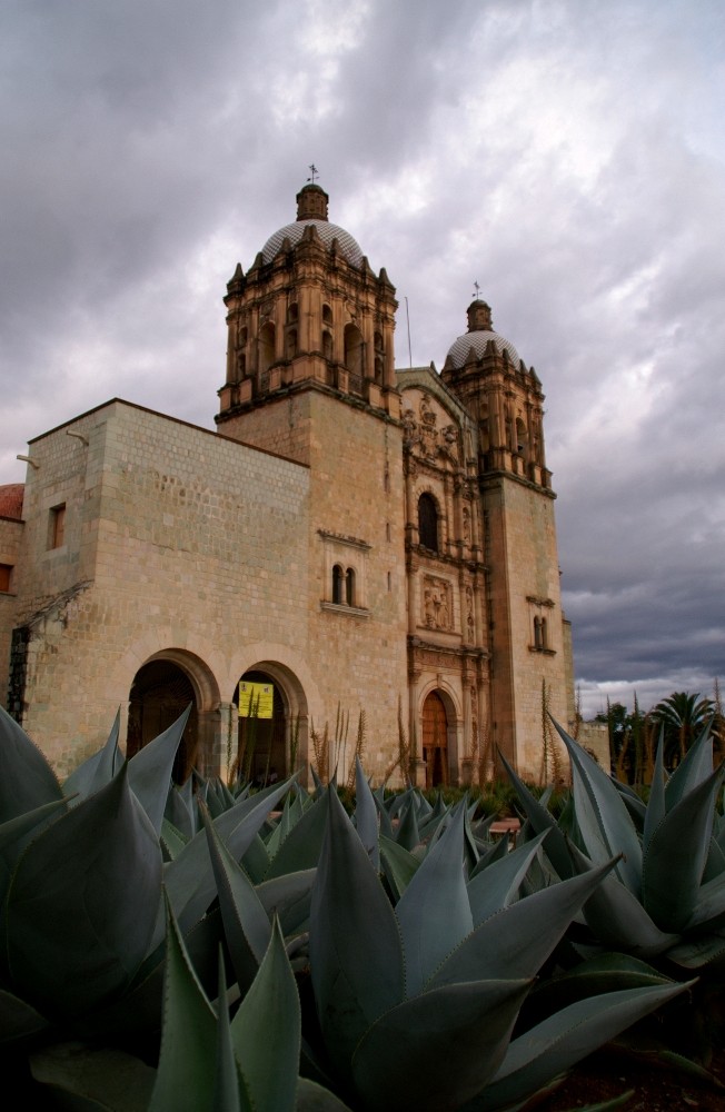 Agaven in Oaxaca...