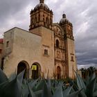 Agaven in Oaxaca...