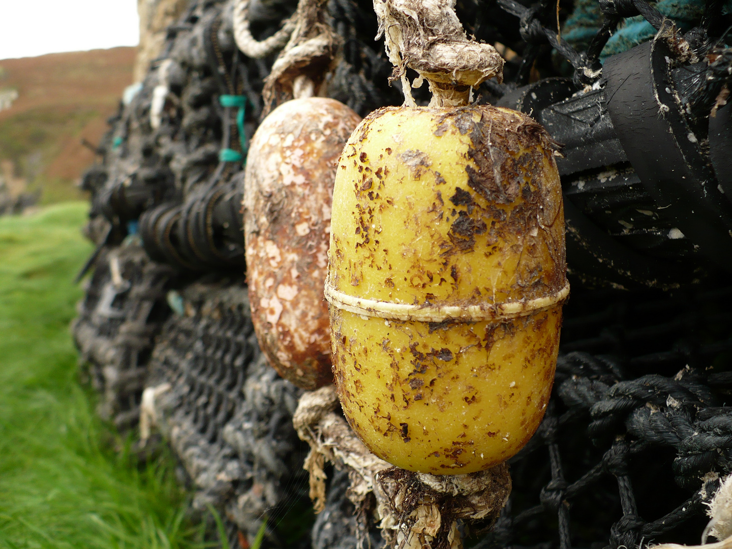 Aged Float