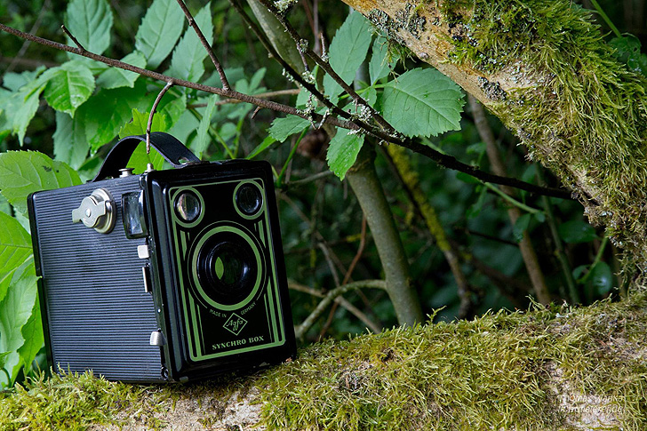 Agfa-Box in der Natur: Workshop 