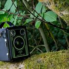 Agfa-Box in der Natur: Workshop 