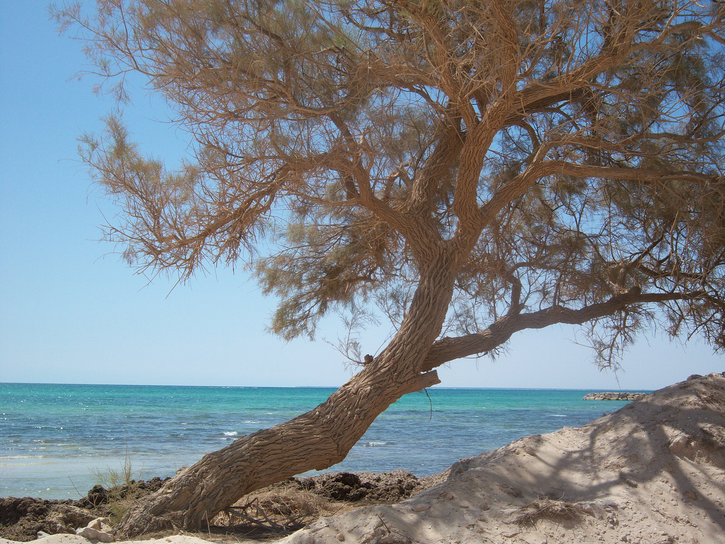 Aghir auf Djerba