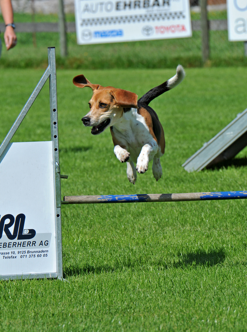 Agility..