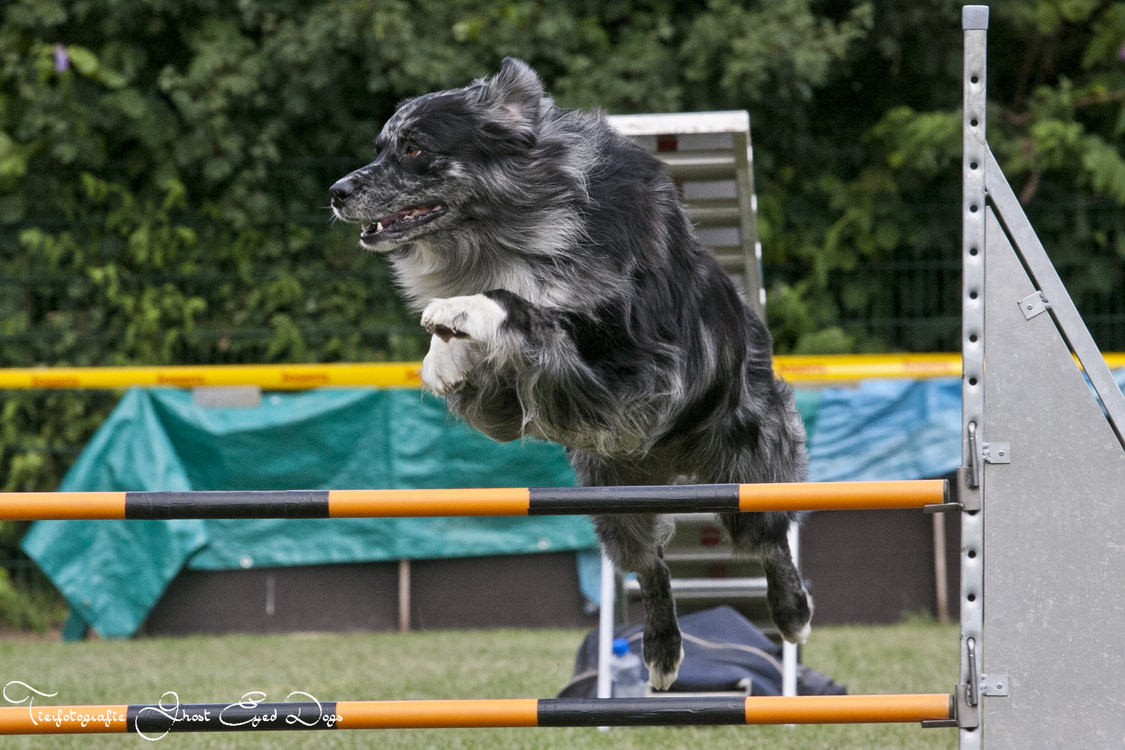 Agility