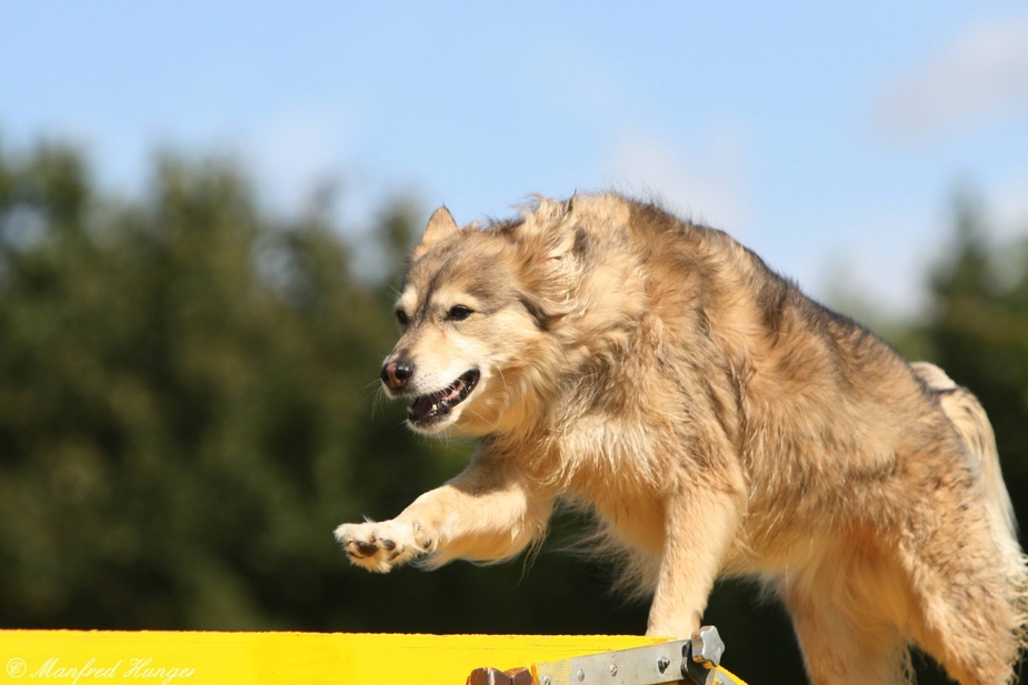 Agility -