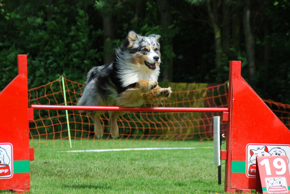 Agility