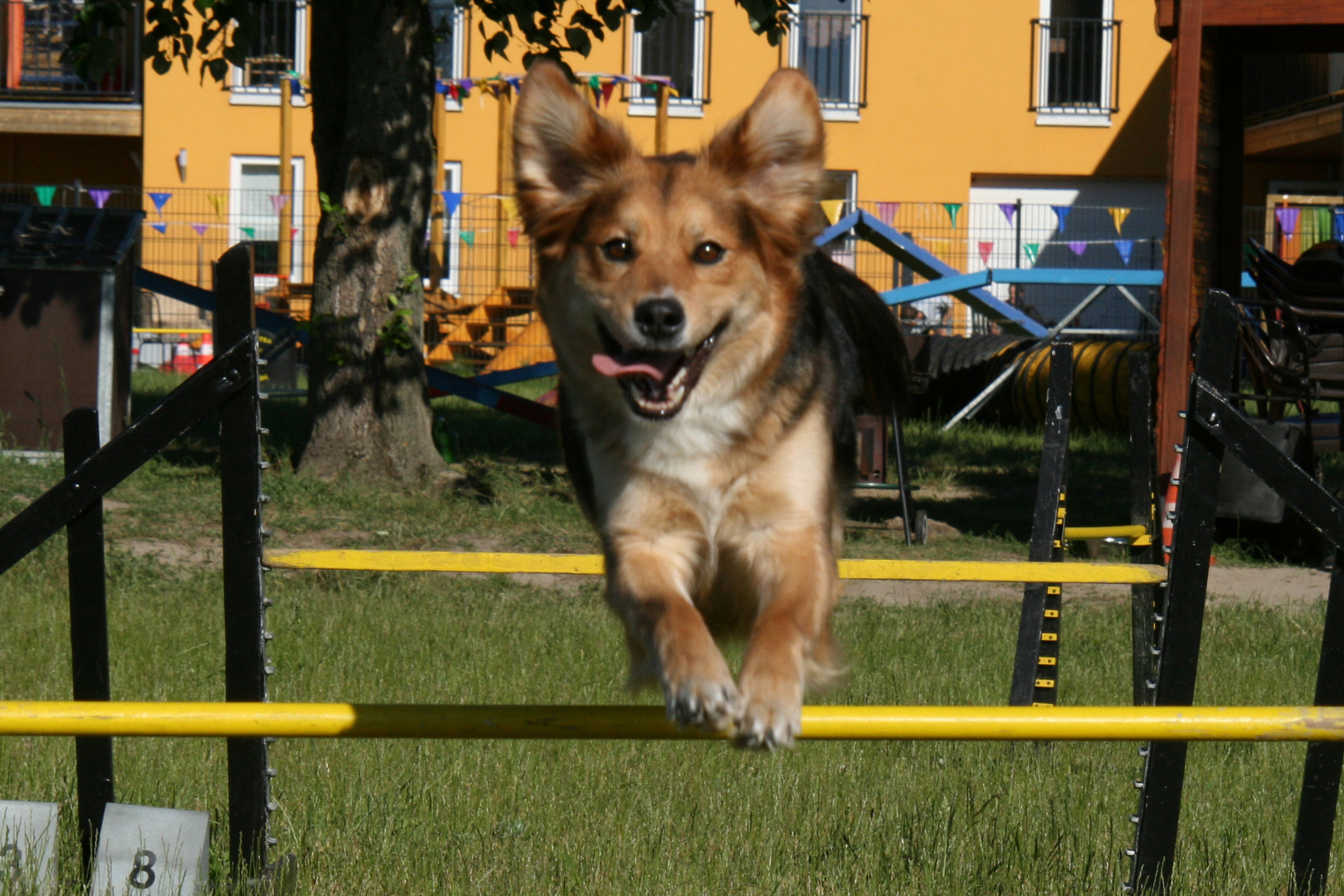 Agility