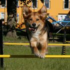 Agility