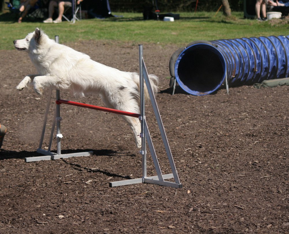 Agility