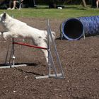 Agility