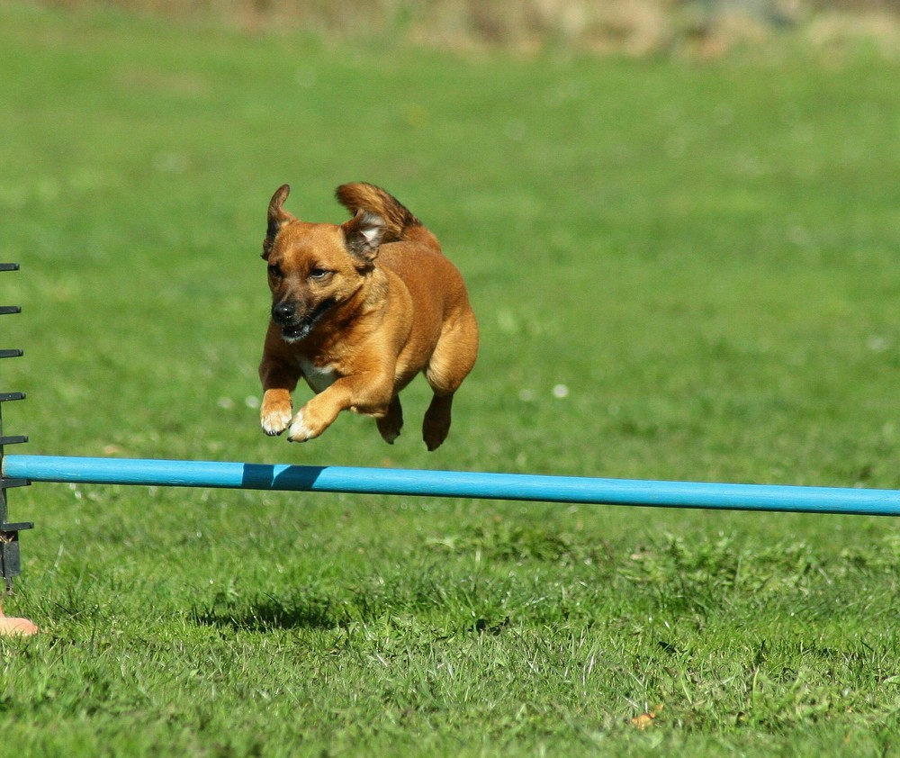 Agility