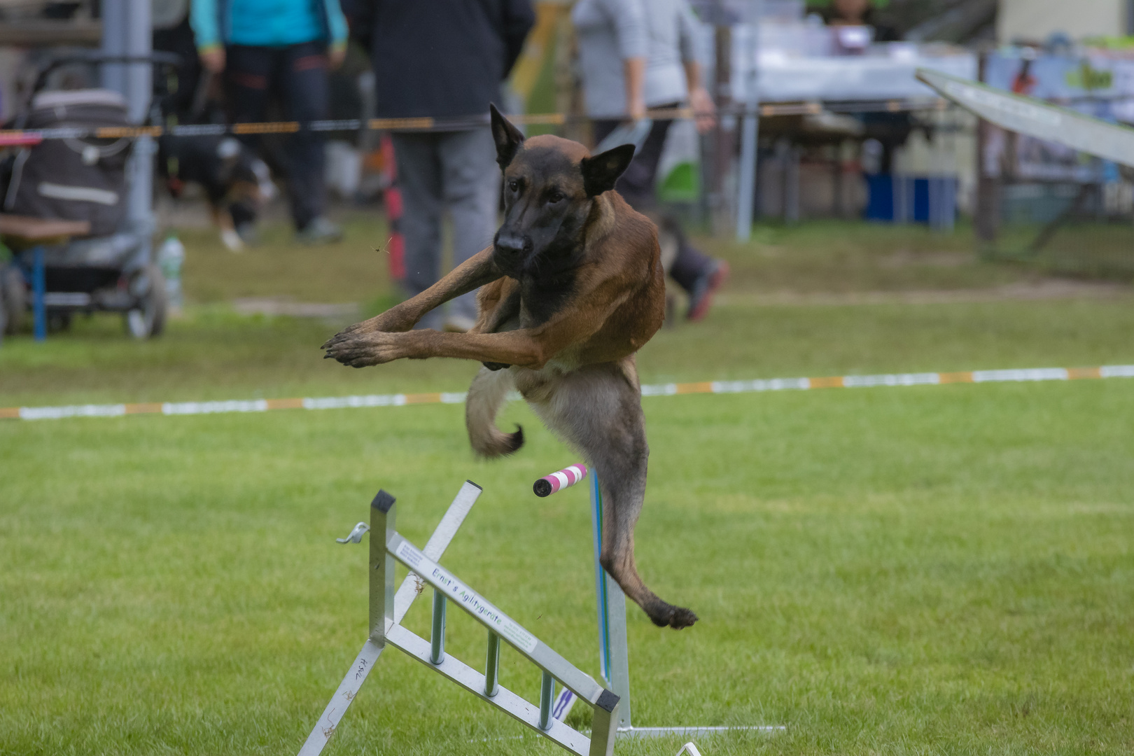 Agility Action