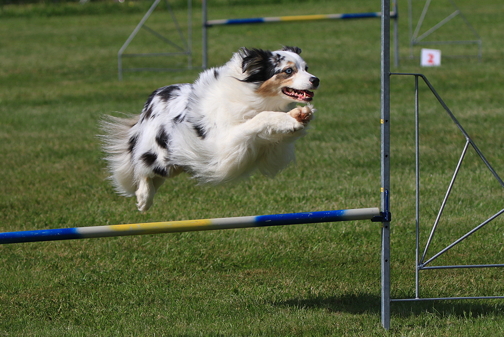 Agility