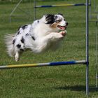 Agility