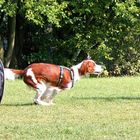 Agility -