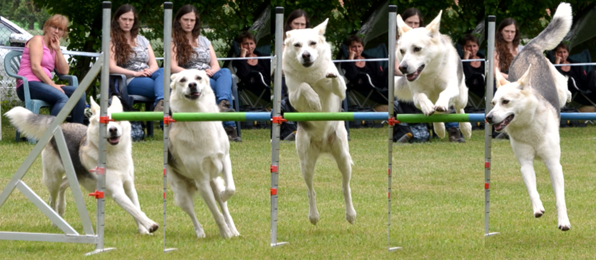 Agility HFW