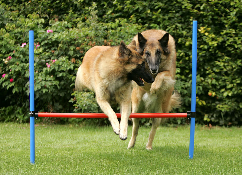 AGILITY @home