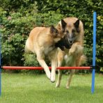 AGILITY @home