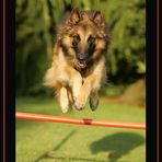 AGILITY @ HOME :o)