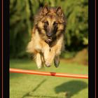 AGILITY @ HOME :o)