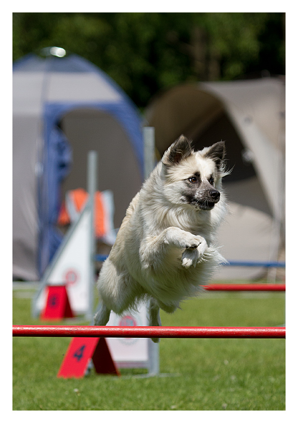 Agility I