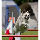 Agility I