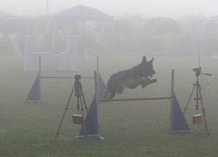 Agility im Nebel