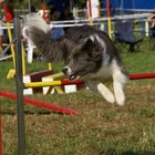 Agility is Fun