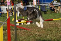 Agility is Fun