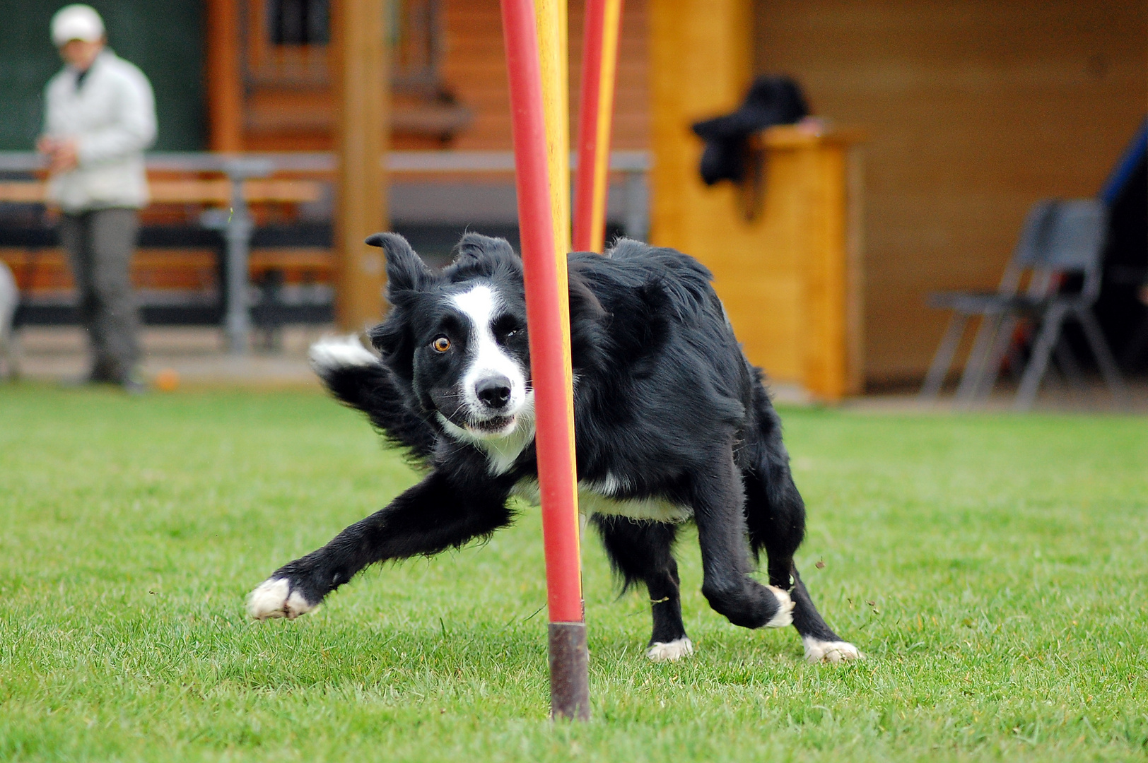 Agility is fun