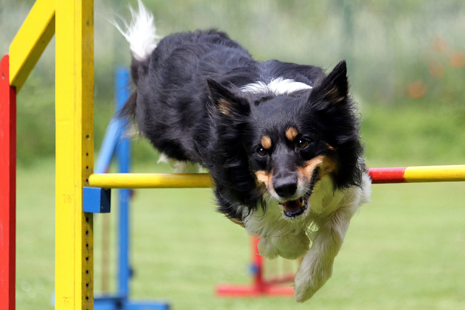 Agility is fun