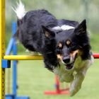 Agility is fun