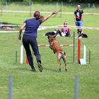 Agility ist Sport für Mensch und Hund