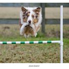 Agility Jumping