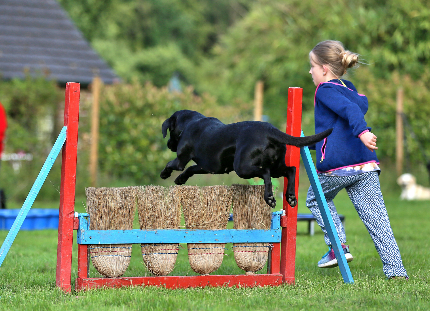 Agility macht Spaß