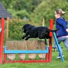 Agility macht Spaß