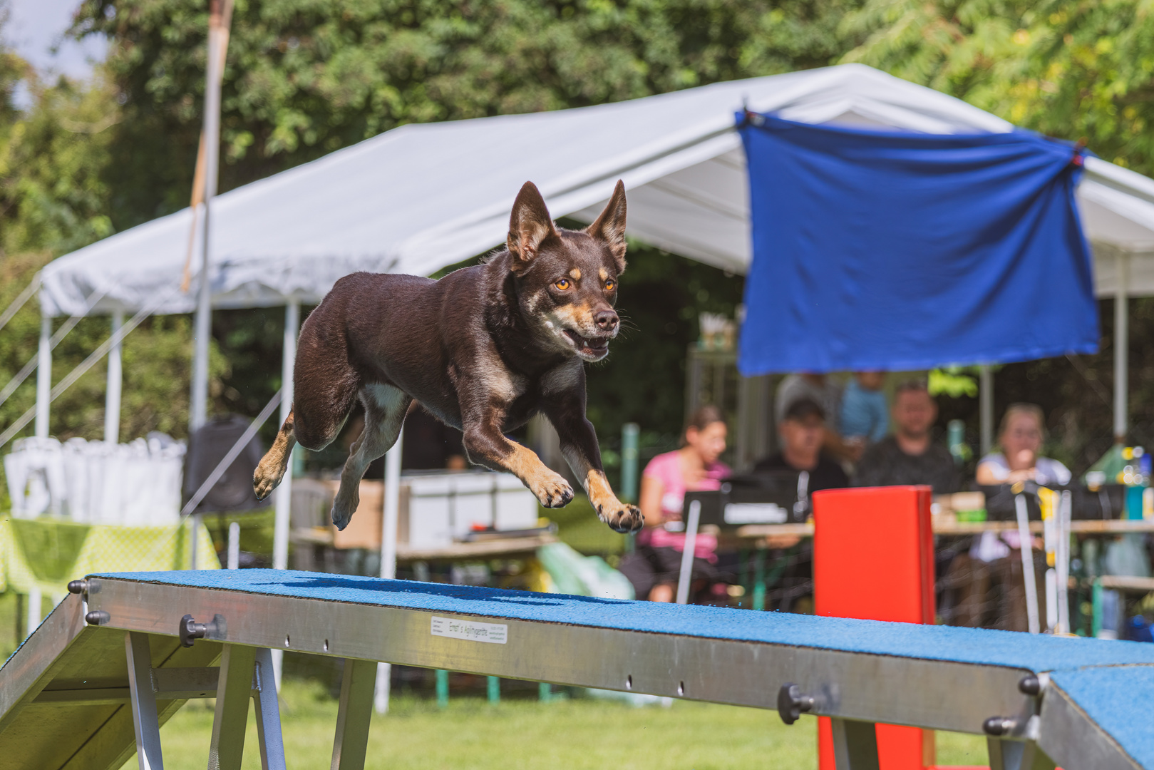 Agility Mutterstadt