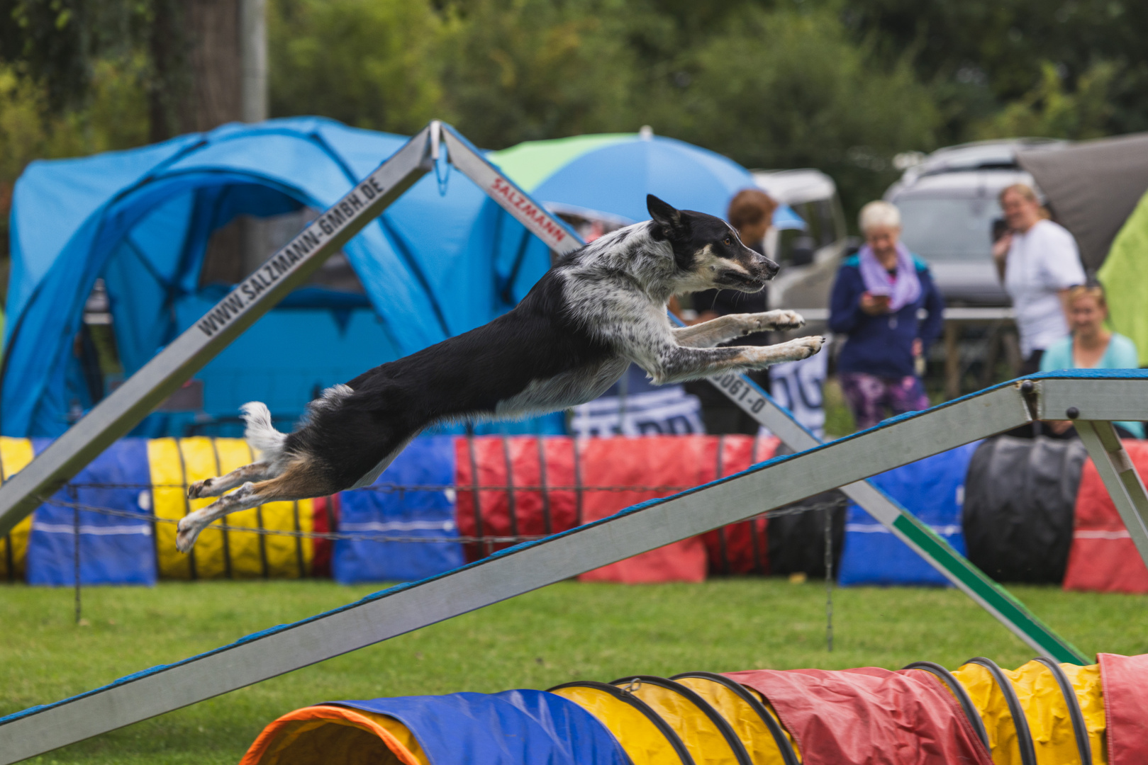 Agility Mutterstadt