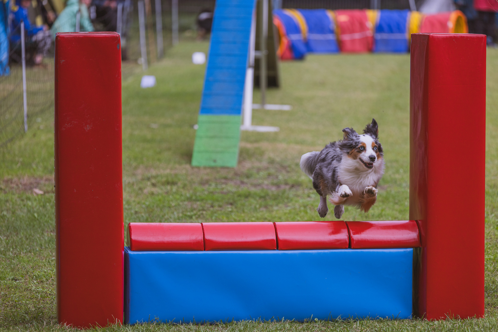 Agility Mutterstadt