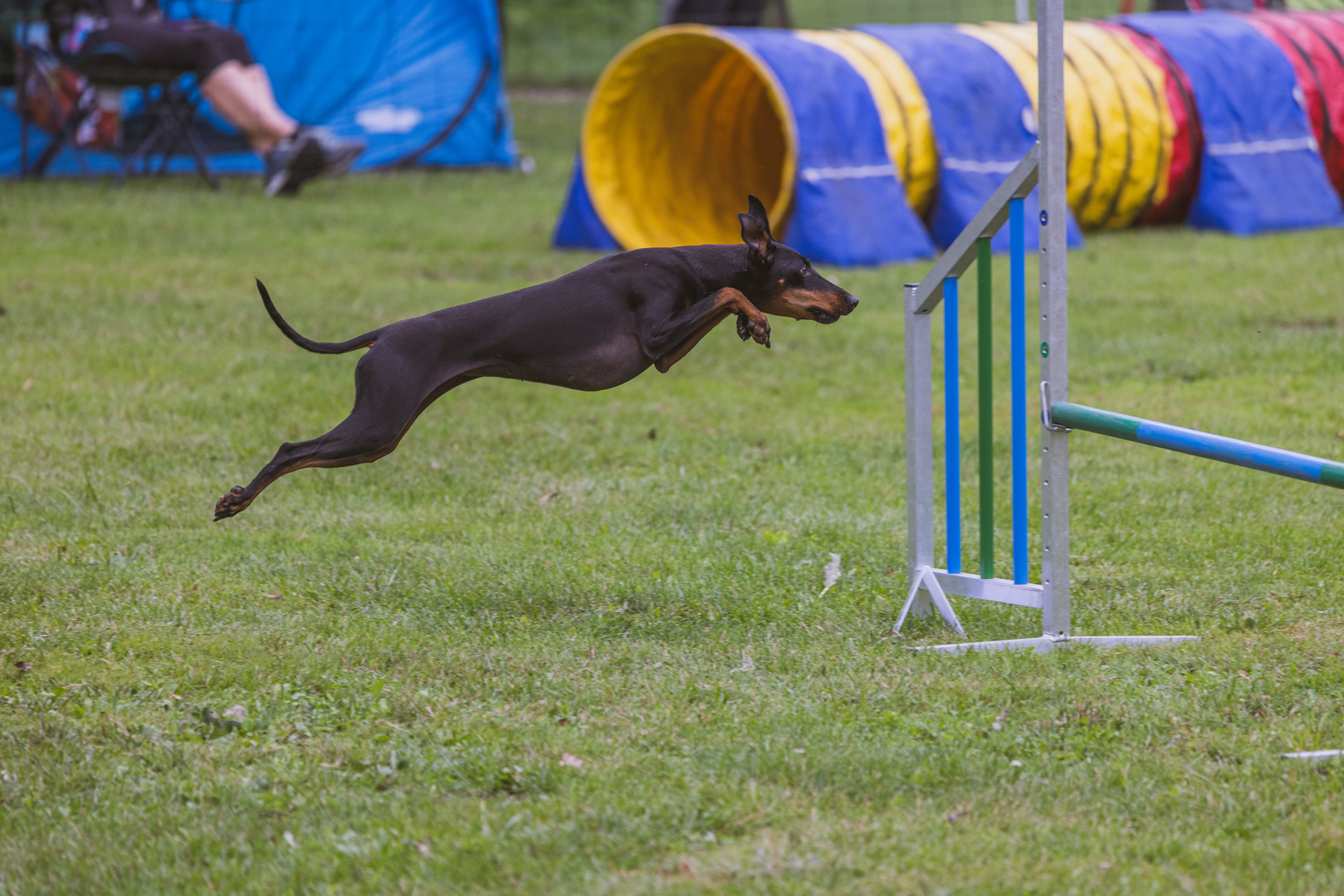 Agility Mutterstadt