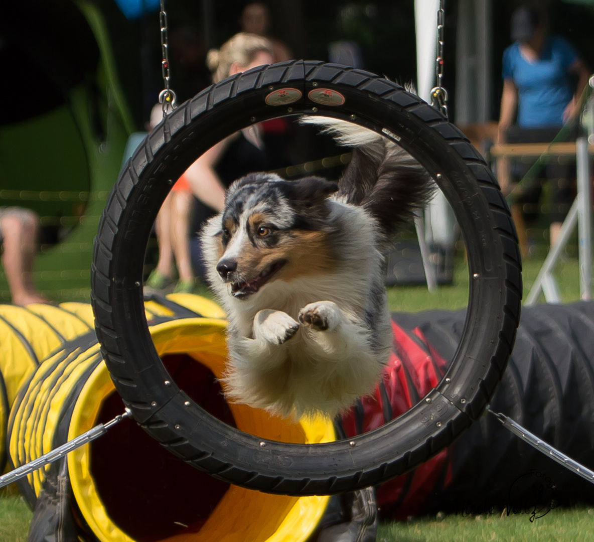 Agility Reifensprung